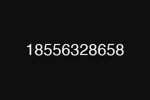 18556328658