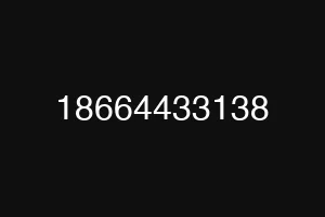 18664433138
