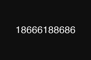 18666188686