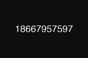 18667957597