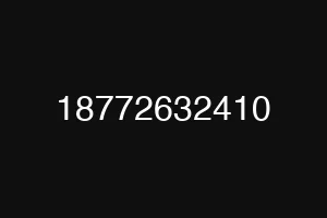 18772632410