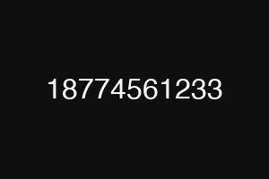 18774561233