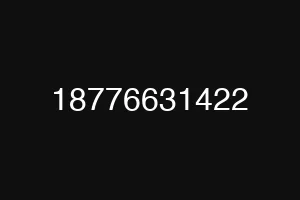 18776631422
