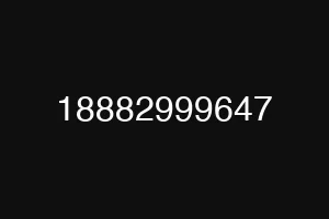 18882999647
