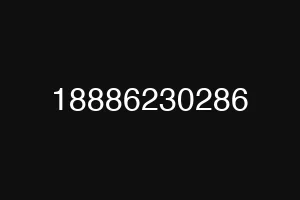 18886230286