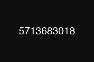 5713683018