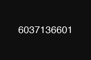 6037136601