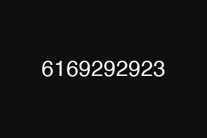 6169292923
