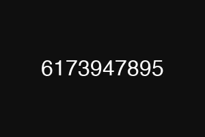 6173947895