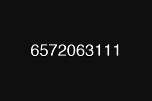 6572063111