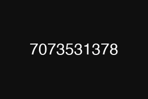 7073531378