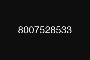 8007528533