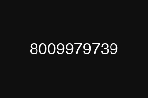 8009979739