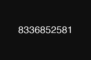 8336852581