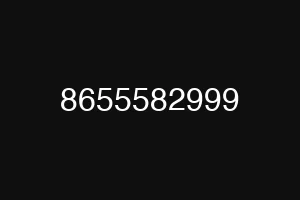 8655582999