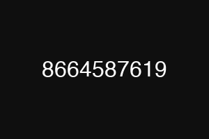 8664587619