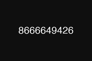 8666649426