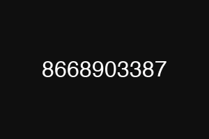 8668903387