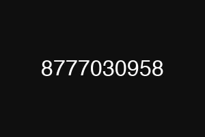 8777030958