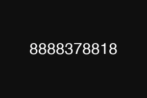 8888378818