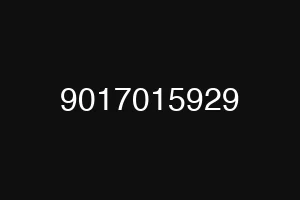 9017015929